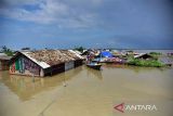 60 orang tewas saat banjir besar terjang India