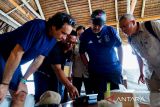 KPK endus adanya prilaku pungli miliaran kepada wisatawan hotel di Raja Ampat