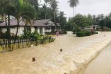 Lima desa di Kabupaten Banggai terendam banjir