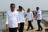 Jokowi tinjau penyaluran bantuan pompa air di Lampung Selatan