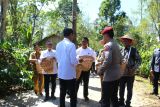 Penerapan sambung pucuk kopi di Lampung Barat