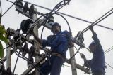 PLN UP3 Palu rawat jaringan jaga kehandalan pasokan listrik