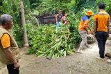 BPBD Sabu Raijua imbau warga waspadai kebakaran hutan dan lahan