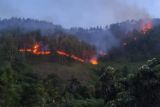 Kebakaran landa hutan di Samosir