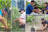 Upaya atasi pemanasan global, karyawan DSLNG kampanyekan aksi tanam pohon di lingkungan rumah
