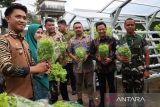 Dinas Ketahanan Pangan Makassar dorong kemandirian pangan lorong