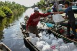 Penebaran benih ikan di Danau Burung Palangka Raya