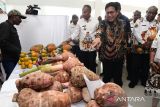 Program TEKAD menjadi solusi majukan kampung-kampung, kata Mendes