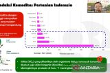 BRIN mengembangkan pemanfaatan silika biogenik dari limbah agroindustri