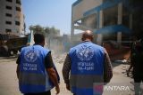 UNRWA: Ratusan pengungsi meninggal di Gaza saat berlindung di bawah PBB