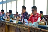 DPRD minta Pemprov Kalteng gencarkan revitalisasi pesisir pantai