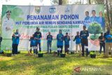 PDAM  Batang tanam 4.000 pohon cegah kerusakan alam