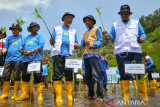 Penanaman 1.000 mangrove di kawasan wisata Teluk Buo