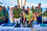 Desa Wisata Cemaga Tengah, Natuna, Kepri, masuk 50 besar terbaik di RI