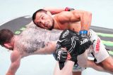 Cory dibantai, Umar Nurmagomedov berpeluang rebut gelar kelas batam UFC