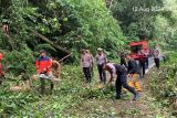 Petugas evakuasi pohon tumbang tutupi jalan lintas Lampung Barat