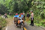 Polisi buka tutup jalan lintas Liwa-Krui akibat pohon tumbang