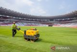 Jelang laga Indonesia vs Australia, GBK akan siapkan rumput terbaik