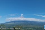 Semeru erupsi beberapa kali dengan tinggi letusan hingga 800 meter