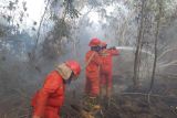 Lahan terbakar di OKI diperkirakan capai 20 hektare