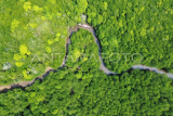 Jelajah hutan mangrove Teluk Buo