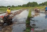 Bantul siapkan ribuan pompa air antisipasi kekeringan pertanian