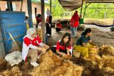 Relawan Bhakti Kementerian BUMN dan BUMN Grup gelar 10 program di Halmahera Timur