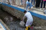 Tebar  benih ikan warnai peringatan HUT RI di RSMS Purwokerto