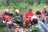 PGN Pagardewa dorong petani karet terapkan wanatani