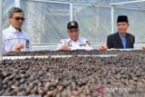 Pemkot Pagaralam jangkau hutan  adat lestarikan kopi