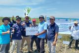 Cegah abrasi, PLN rehabilitasi mangrove di Kaliwlingi Brebes