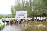 Cegah Abrasi, Bukit Asam (PTBA) Tanam Mangrove di Pantai Taluak