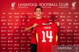 Federico Chiesa tak takut bersaing dengan penyerang Liverpool