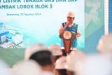 PLN operasikan PLTGU Tambak Lorok 779 MW