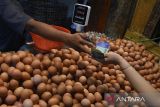 Harga pangan hari ini: Telur ayamras naik lagi jadi Rp28.610 per kg