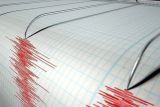 Gempa magnitudo 3,1 guncang Sulut dan 3,4 landa Papua