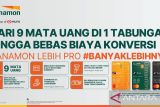 Danamon LEBIH PRO hadirkan Tabungan Valuta Asing beragam Fitur #BanyakLebihnya