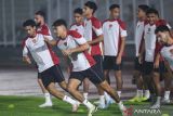 Kualifikasi Piala Dunia 2024 - Prediksi susunan pemain Indonesia vs Australia