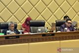 Komisi II DPR sepakati pilkada ulang pada 2025 bila kotak kosong menang