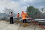 Damkarmat Lamsel minta warga tingkatkan kewaspadaan terhadap karhutla