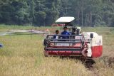 Lampung dapat tingkatkan daya saing usaha pertanian melalui KUR alsintan