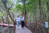 Ekowisata hutan mangrove Purba Jerowarukerek ekonomi masyarakat