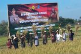 Pemkab Sleman panen raya di lahan tidur produktivitas 8,8 ton per hektare