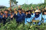 Lanud RSA Natuna dukung program ketahanan pangan nasional