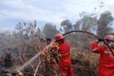 Karhulta di Sungai Rotan masuki hari ke-22