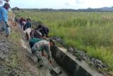 TNI bersihkan saluran irigasi pertanian di Pasangkayu