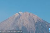 Erupsi Gunung Semeru hingga 500 meter