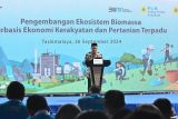 PLN kembangkan biomassa berbasis ekonomi kerakyatan