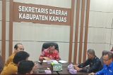 Pemkab Kapuas kerjasama penanaman biomassa dengan PLN