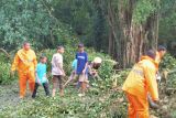 BPBD OKU Selatan minta masyarakat waspada banjir dan  tanah longsor